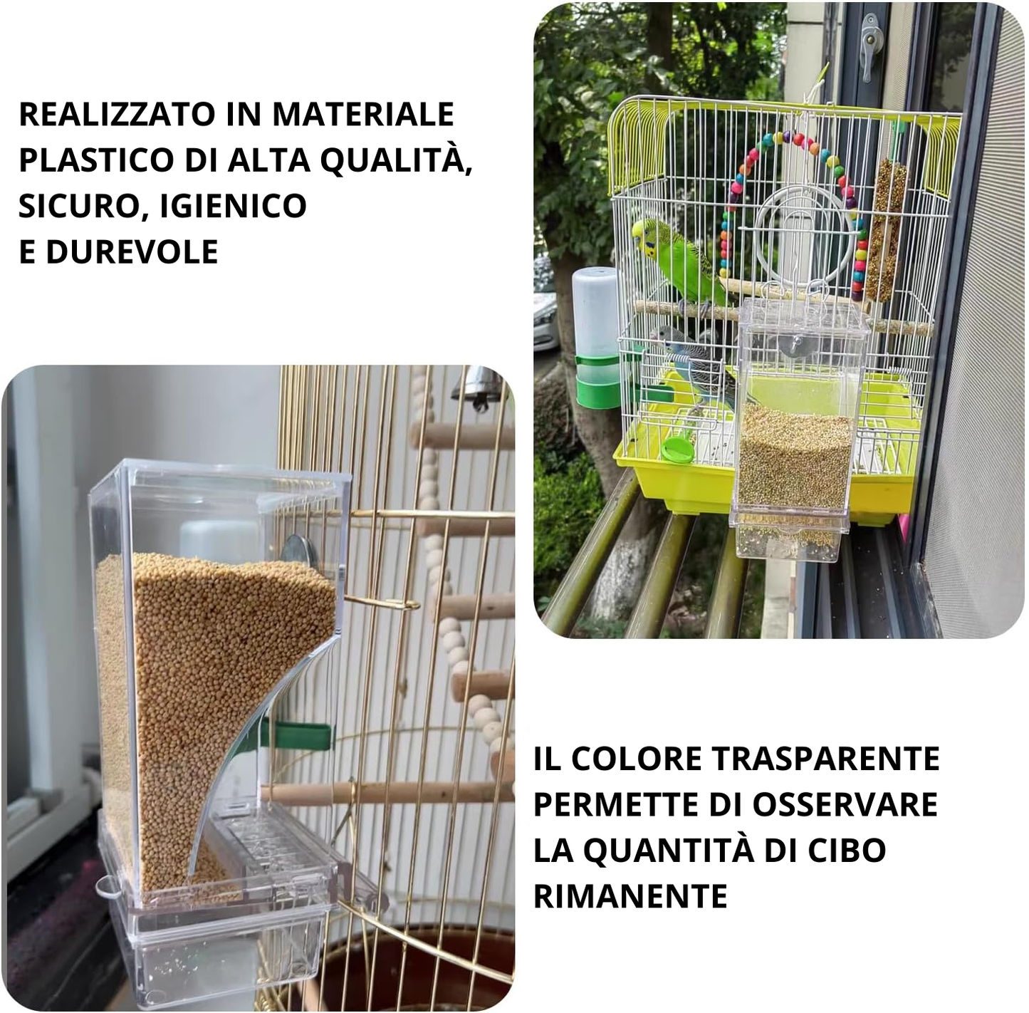 SEEDSAVOR - Mangiatoia Automatica per Uccelli