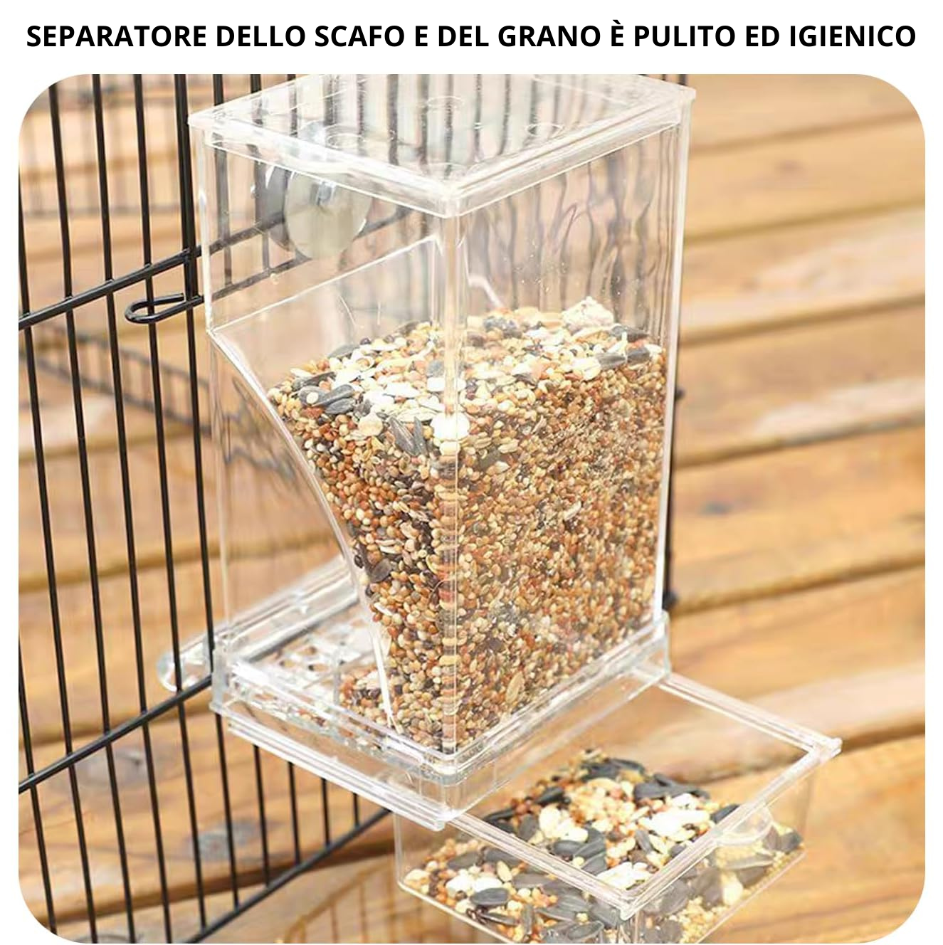 SEEDSAVOR - Mangiatoia Automatica per Uccelli